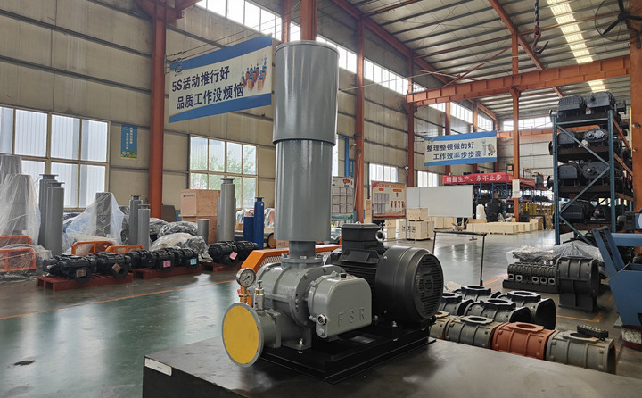 羅茨鼓風(fēng)機(jī) 羅茨鼓風(fēng)機(jī)